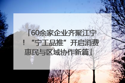 60余家企业齐聚江宁！“宁工品推”开启消费惠民与区域协作新篇