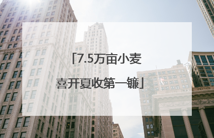 7.5万亩小麦喜开夏收第一镰