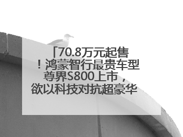 70.8万元起售！鸿蒙智行最贵车型尊界S800上市，欲以科技对抗超豪华品牌，余承东发布会未提及迈巴赫