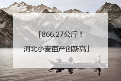 866.27公斤！河北小麦亩产创新高