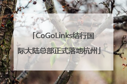 CoGoLinks结行国际大陆总部正式落地杭州