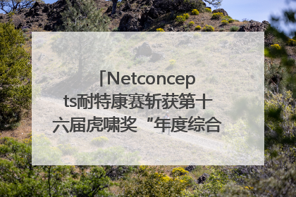 Netconcepts耐特康赛斩获第十六届虎啸奖“年度综合服务商”大奖